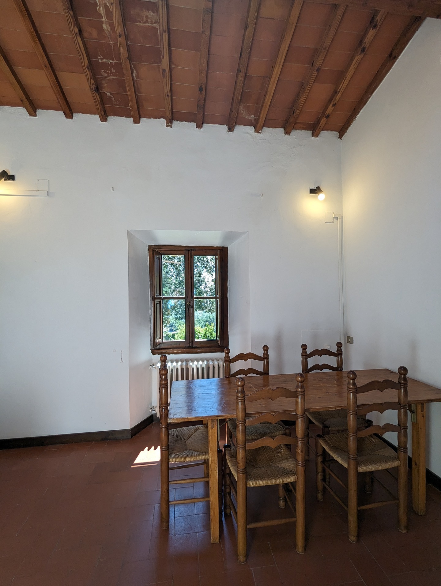 PXL_20230812_104502554